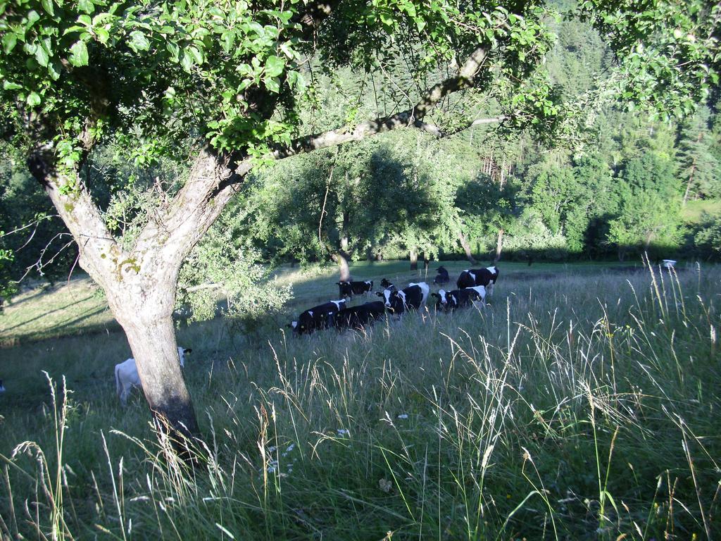 Farm Stay Zagar Mozirje Eksteriør bilde
