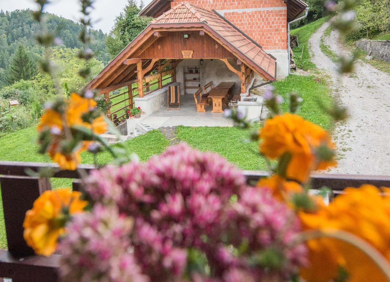 Farm Stay Zagar Mozirje Eksteriør bilde