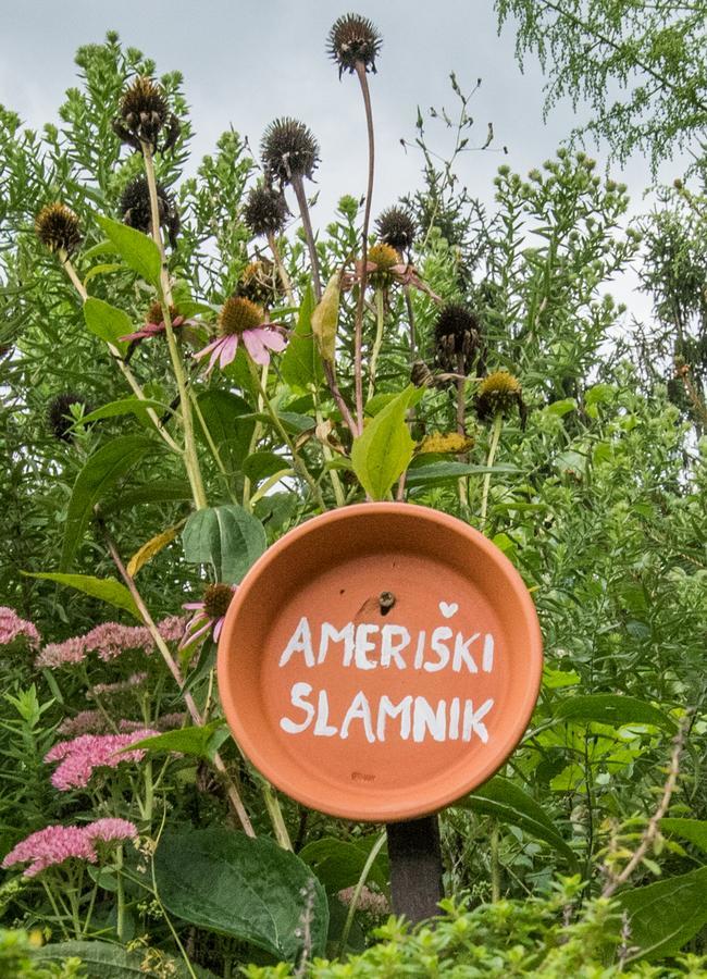 Farm Stay Zagar Mozirje Eksteriør bilde